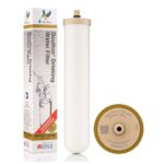 Doulton BioTect Ultra multifunkciós integrált ólomszűrő-filter